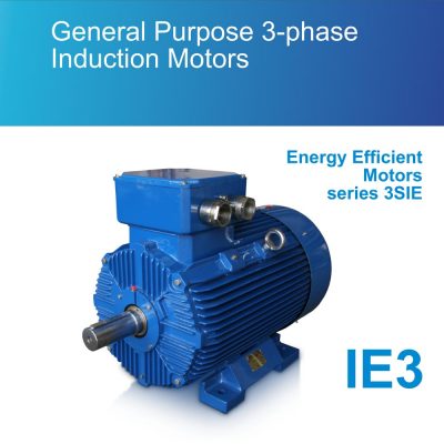 General Purpose 3-phase Induction Motors