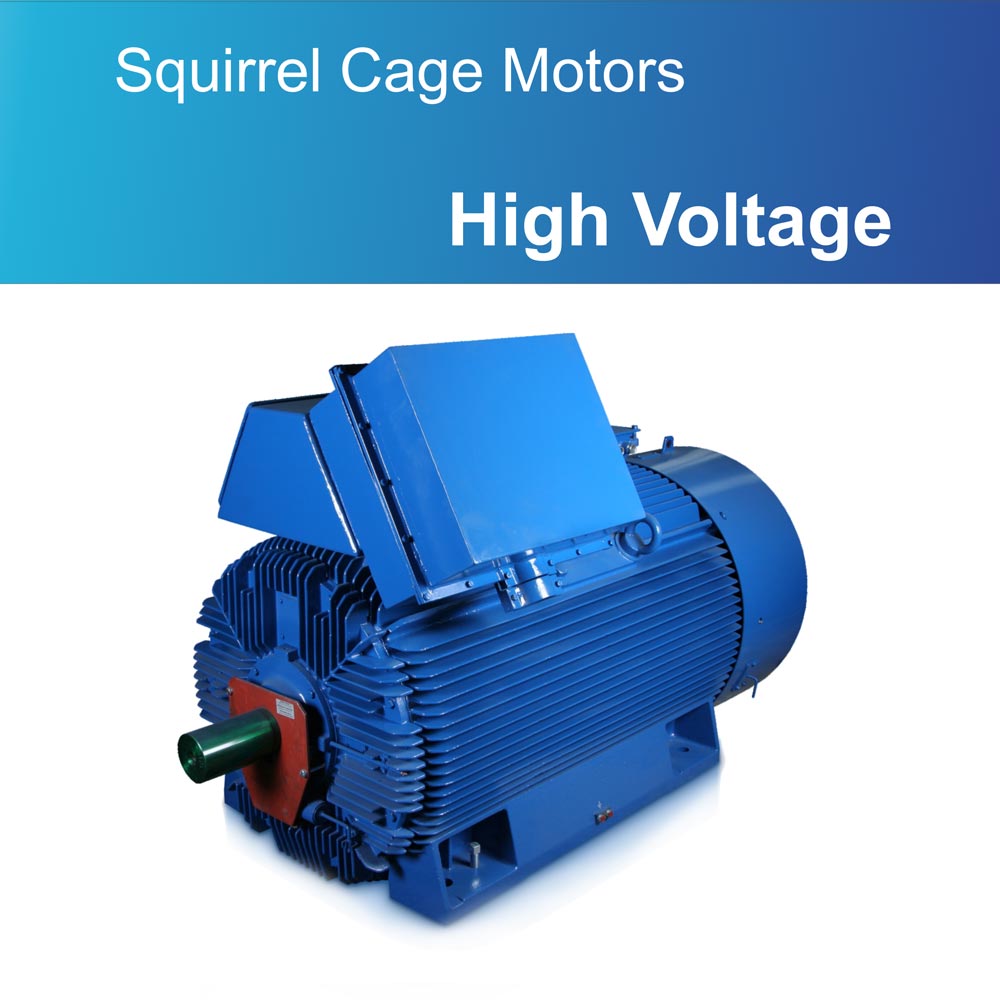 Squirrel Cage Motors High Voltage